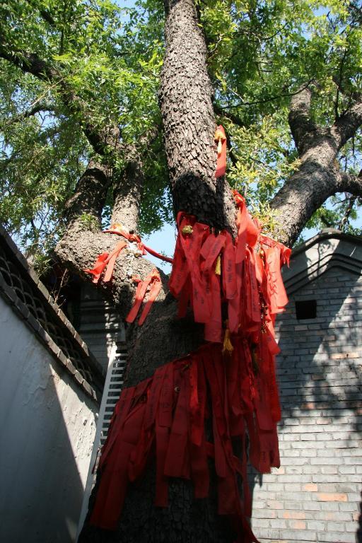 Old Beijing Square Hotel 외부 사진